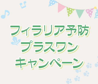 フィラリア予防プラスワンキャンペーン実施中