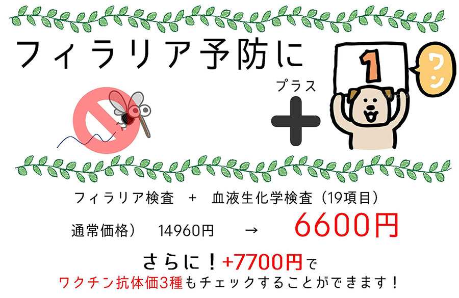 フィラリア予防にプラスワン